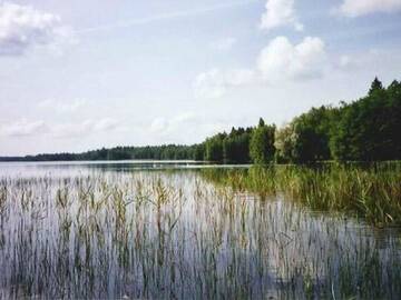 Фото номера Дом для отпуска Дома для отпуска Holiday Home Kartanomäki г. Onkiniemi 47