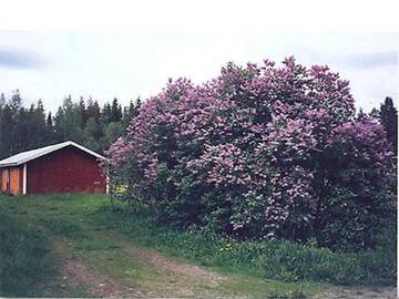 Фото номера Дом для отпуска Дома для отпуска Holiday Home Kartanomäki г. Onkiniemi 17