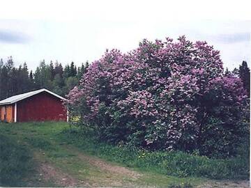 Фото номера Дом для отпуска Дома для отпуска Holiday Home Kartanomäki г. Onkiniemi 51